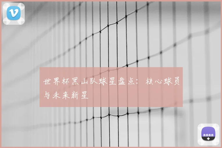 世界杯黑山队球星盘点:核心球员与未来新星