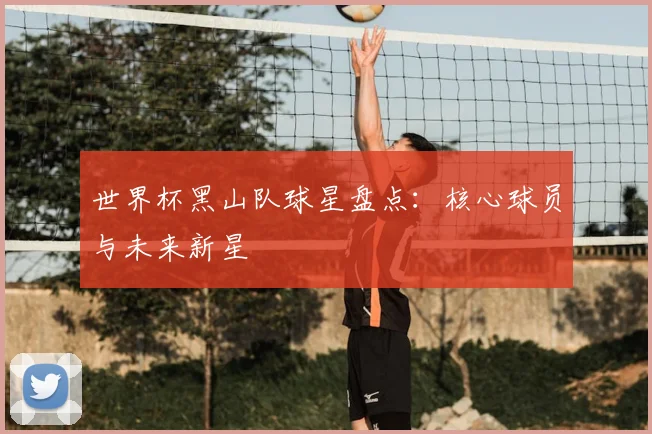 世界杯黑山队球星盘点：核心球员与未来新星